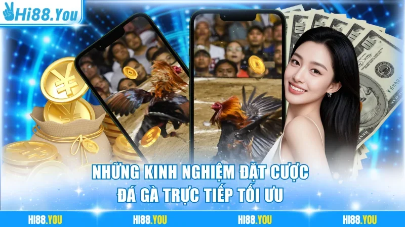 Chia sẻ mẹo đặt cược tăng tỷ lệ thắng chọi kê