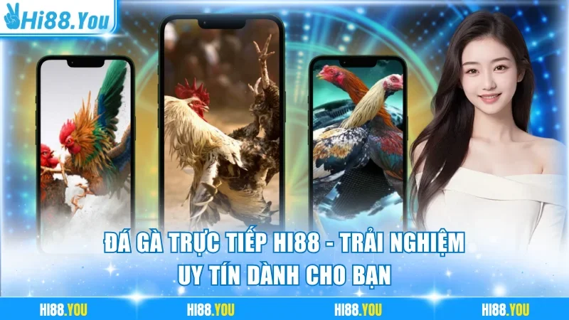 Đá gà trực tiếp