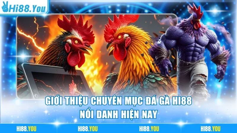 Giới thiệu chuyên mục đá gà Hi88 nổi danh hiện nay