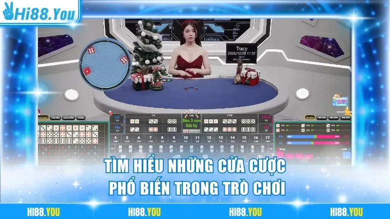 Tìm hiểu những cửa cược phổ biến trong trò chơi